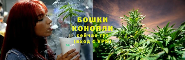 apvp Арсеньев