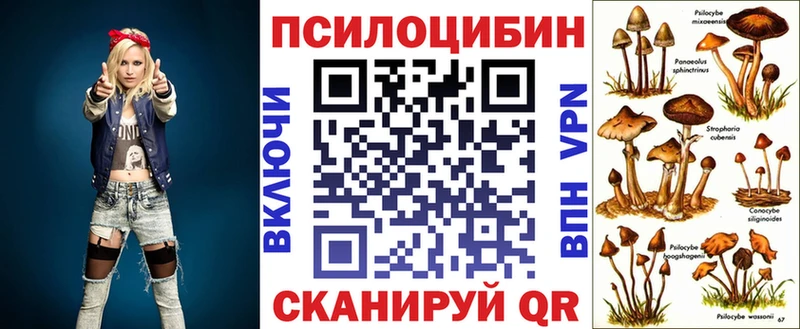 где продают наркотики Мариинск маркетплейс Telegram Псилоцибиновые грибы Magic Shrooms